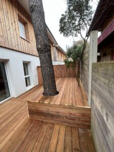 Banc Contours d'arbre